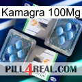 Kamagra 100Mg viagra5